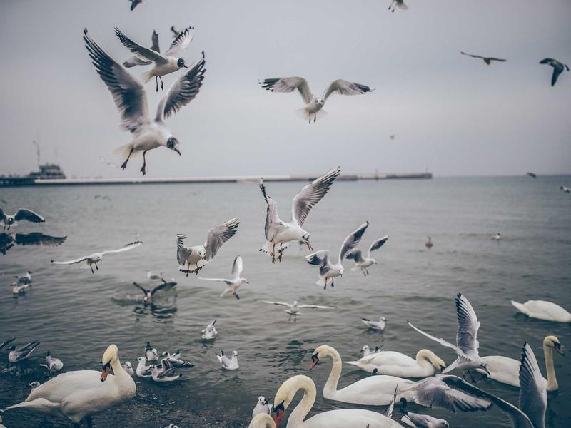 sudoku critical thinking screenshot 1